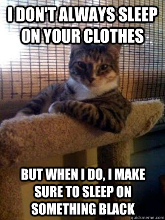 I don't always sleep on your clothes but when I do, I make sure to sleep on something black  The Most Interesting Cat in the World