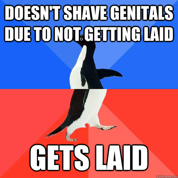 Doesn't shave genitals due to not getting laid Gets laid  Socially Awkward Awesome Penguin