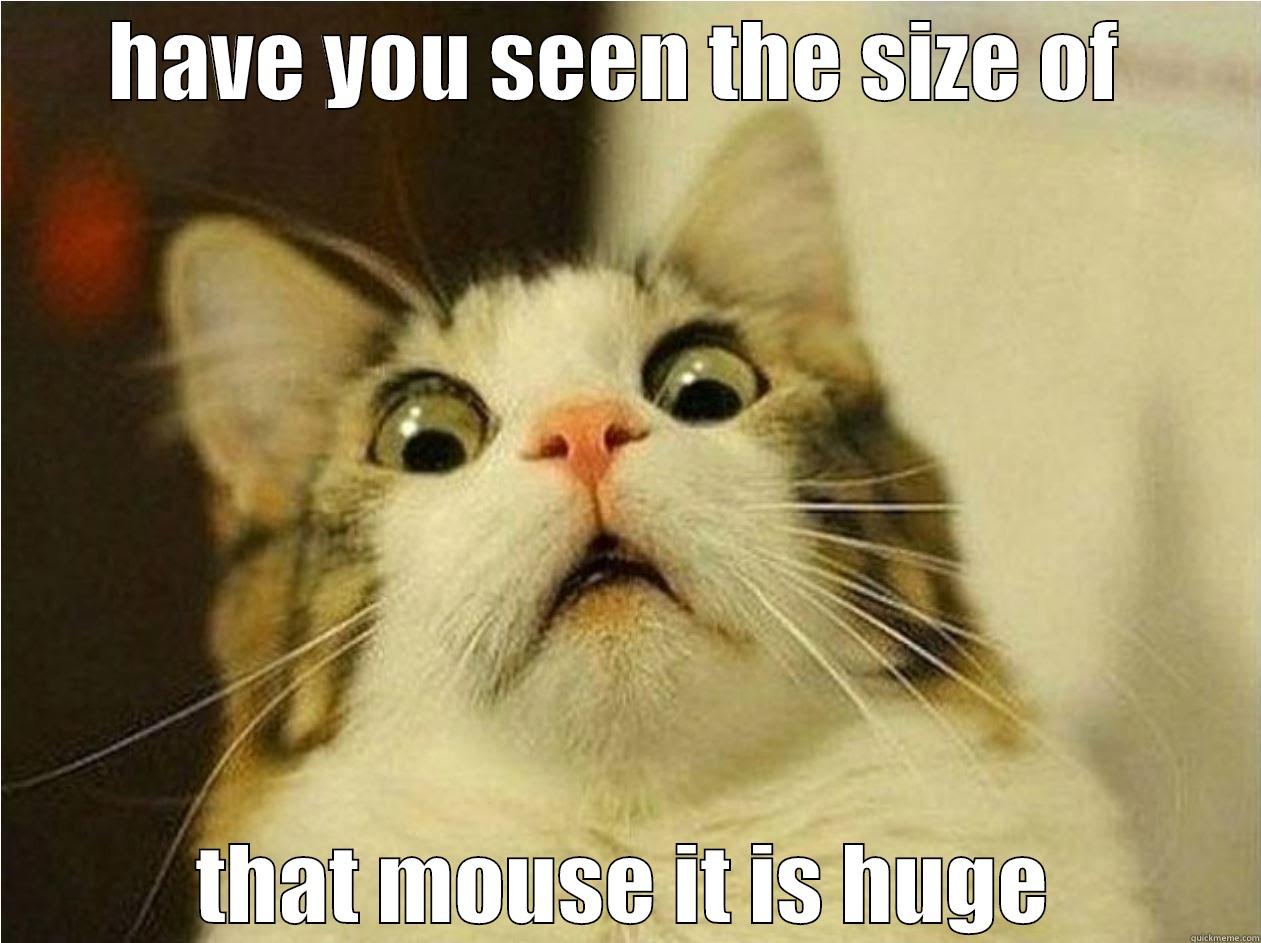 HAVE YOU SEEN THE SIZE OF  THAT MOUSE IT IS HUGE Misc