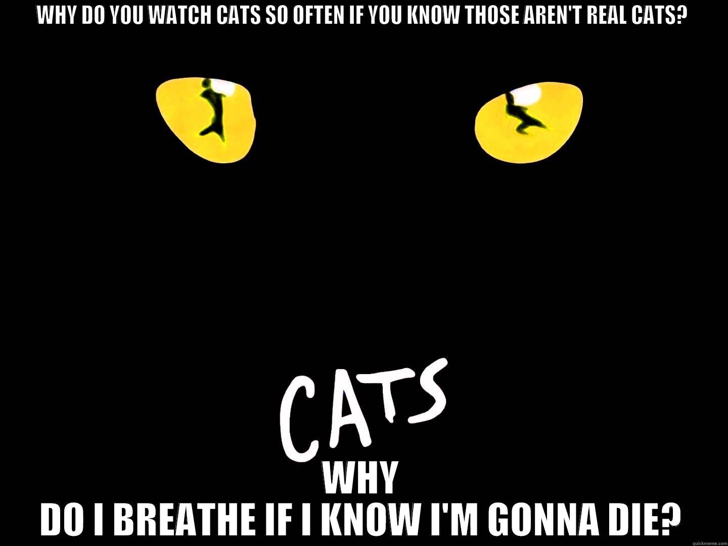 WHY DO YOU WATCH CATS SO OFTEN IF YOU KNOW THOSE AREN'T REAL CATS? WHY DO I BREATHE IF I KNOW I'M GONNA DIE? Misc