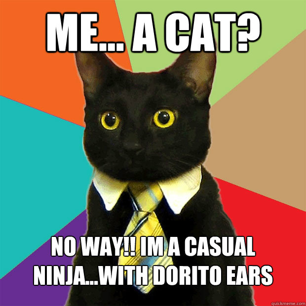 me... a cat? no way!! im a casual ninja...with dorito ears  Business Cat