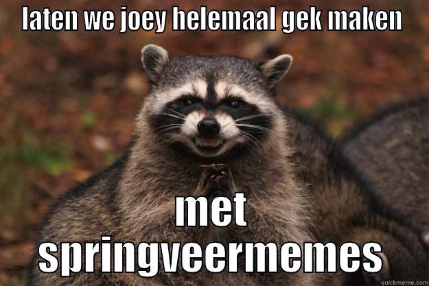 LATEN WE JOEY HELEMAAL GEK MAKEN MET SPRINGVEERMEMES Evil Plotting Raccoon
