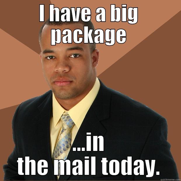 I HAVE A BIG PACKAGE ...IN THE MAIL TODAY. Successful Black Man
