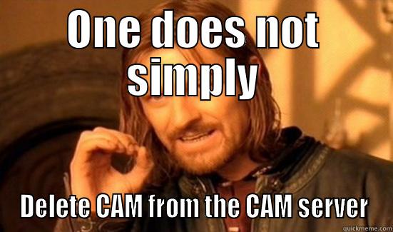 ONE DOES NOT SIMPLY DELETE CAM FROM THE CAM SERVER Boromir