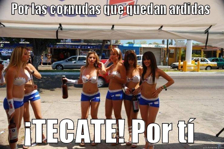 POR LAS CORNUDAS QUE QUEDAN ARDIDAS ¡TECATE! POR TÍ Misc
