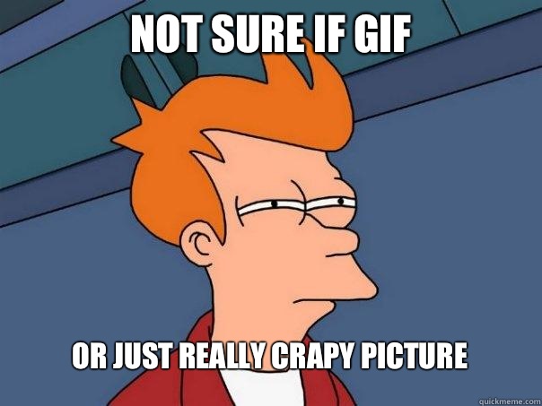 Not sure if gif Or just really crapy picture  Futurama Fry