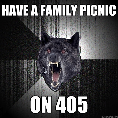 HAVE A FAMILY PICNIC ON 405  Insanity Wolf