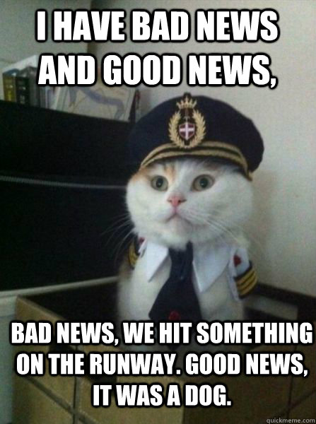 I have Bad news and Good news, Bad news, we hit something on the runway. Good news, It was a dog.  Captain kitteh