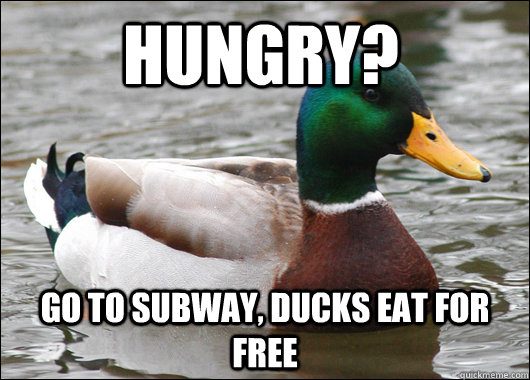 hungry?  go to subway, ducks eat for free  Actual Advice Mallard