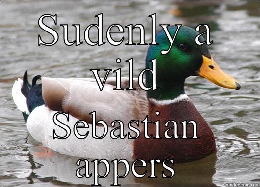 SUDENLY A VILD SEBASTIAN APPERS Actual Advice Mallard