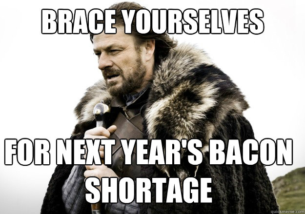 brace yourselves for next year's bacon shortage  brace yourself the soccer updates are coming