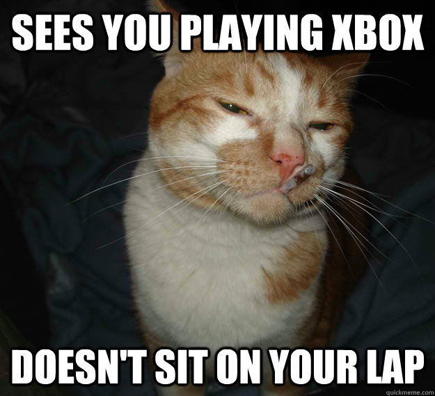 sees you playing xbox  Doesn't sit on your lap  Cool Cat Craig