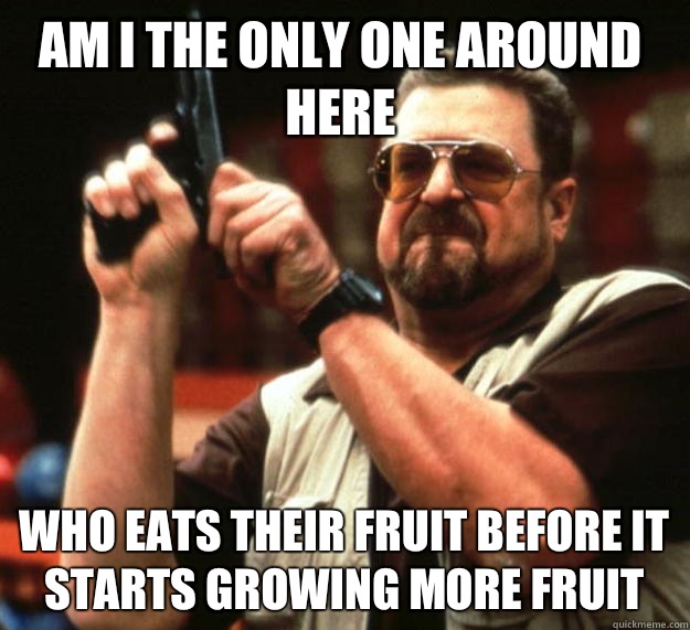 Am I the only one around here Who eats their fruit before it starts growing more fruit  Walter