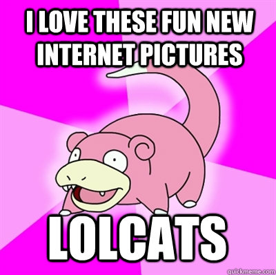 I love these fun new internet pictures Lolcats  