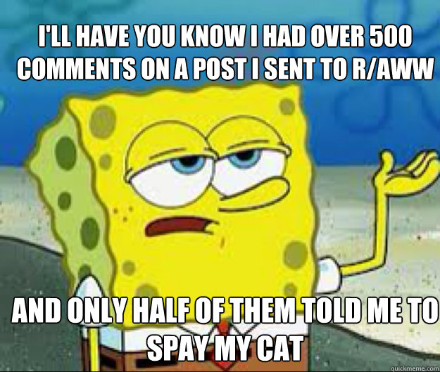 I'LL HAVE YOU KNOW i had Over 500 comments on a post I sent to r/aww And only half of them told me to spay my cat   