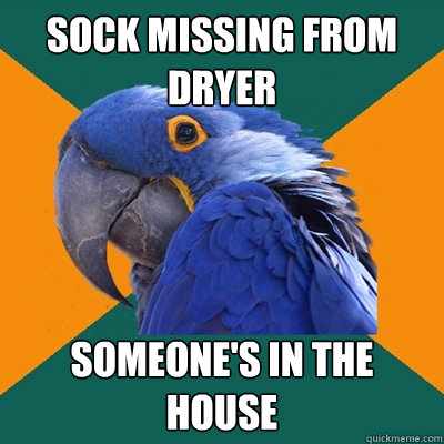 sock missing from dryer someone's in the house  Paranoid Parrot