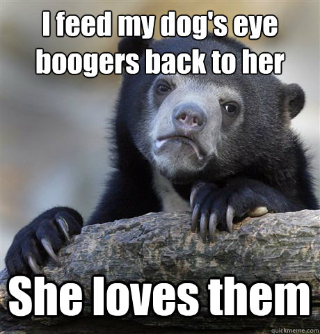 I feed my dog's eye boogers back to her She loves them  Confession Bear