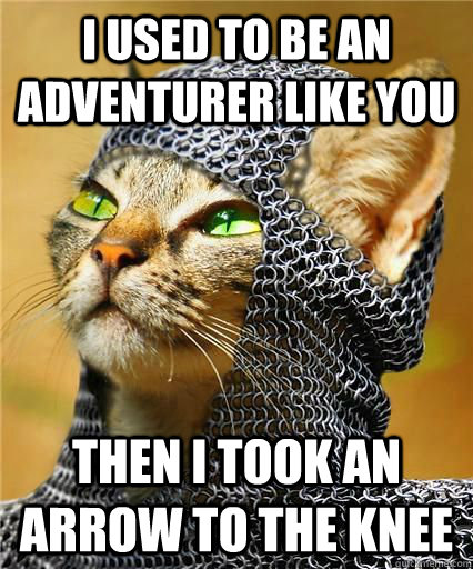 I used to be an adventurer like you Then I took an arrow to the knee - I used to be an adventurer like you Then I took an arrow to the knee  Skyrim Cat