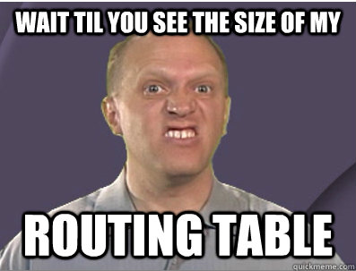 Wait til you see the size of my Routing Table  