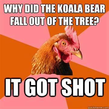 Why did the koala bear fall out of the tree? It got shot  Anti-Joke Chicken