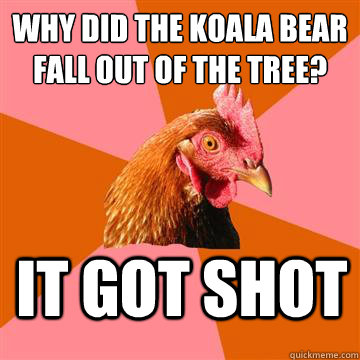 Why did the koala bear fall out of the tree? It got shot  Anti-Joke Chicken