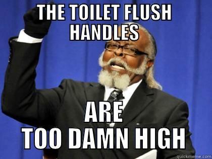 THE TOILET FLUSH HANDLES ARE TOO DAMN HIGH Misc