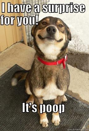I HAVE A SURPRISE FOR YOU!                                       IT'S POOP                                   Good Dog Greg