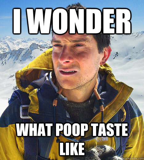 I wonder what poop taste like   BEAR GRILLS