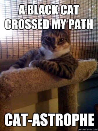 A black cat crossed my path CAT-ASTROPHE  The Most Interesting Cat in the World