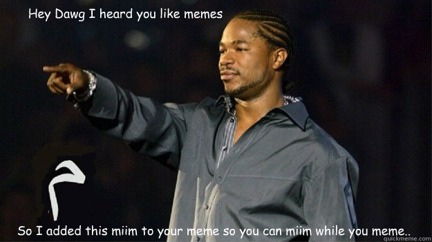 Hey Dawg I heard you like memes So I added this miim to your meme so you can miim while you meme..   Meme