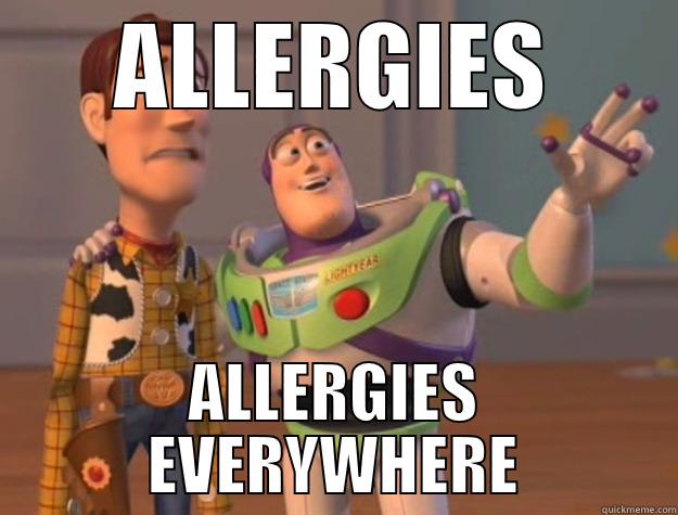 Sneazing season - ALLERGIES ALLERGIES EVERYWHERE Toy Story