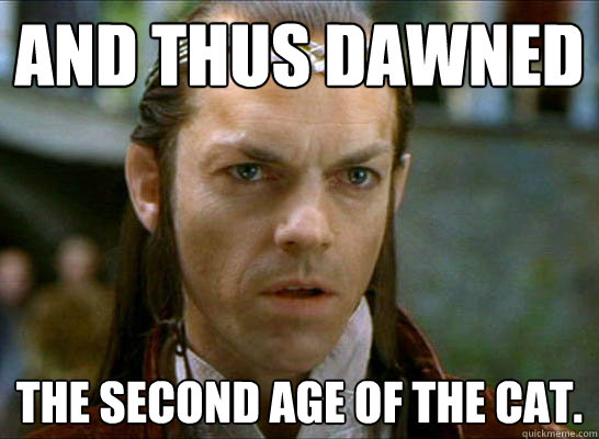And thus dawned the second age of the cat. - And thus dawned the second age of the cat.  Elrond