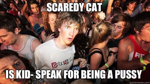 Scaredy cat Is kid- speak for being a pussy  Sudden Clarity Clarence