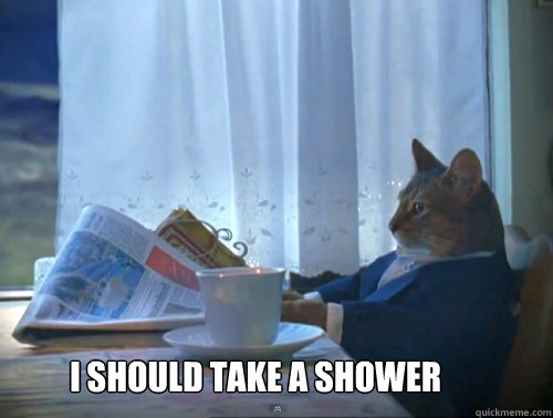  I should take a shower  The One Percent Cat
