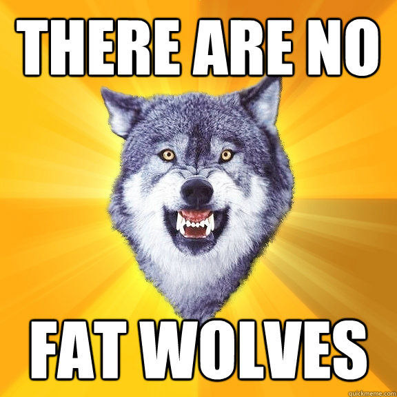 THERE ARE NO FAT WOLVES  Courage Wolf