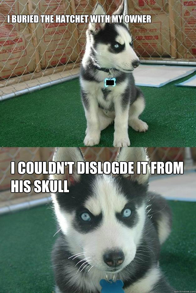 I buried the hatchet with my owner I couldn't dislogde it from his skull  Insanity puppy