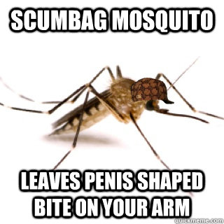 scumbag mosquito leaves penis shaped bite on your arm  