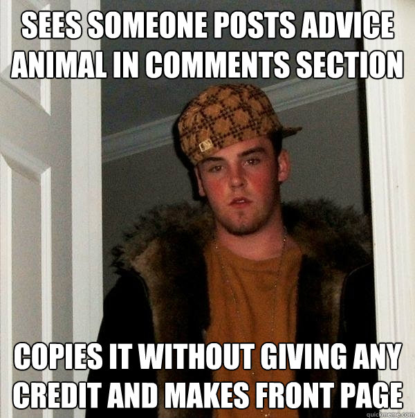 Sees someone posts advice animal in comments section Copies it without giving any credit and makes front page  Scumbag Steve