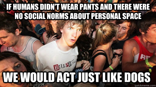 if humans didn't wear pants and there were no social norms about personal space we would act just like dogs  Sudden Clarity Clarence
