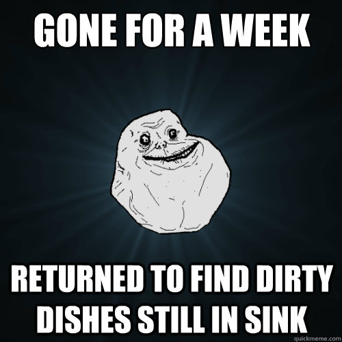 gone for a week returned to find dirty dishes still in sink  Forever Alone