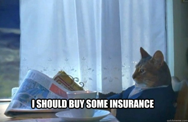 I should buy some insurance  Sophisticated Cat