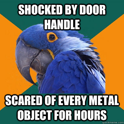 shocked by door handle scared of every metal object for hours  Paranoid Parrot