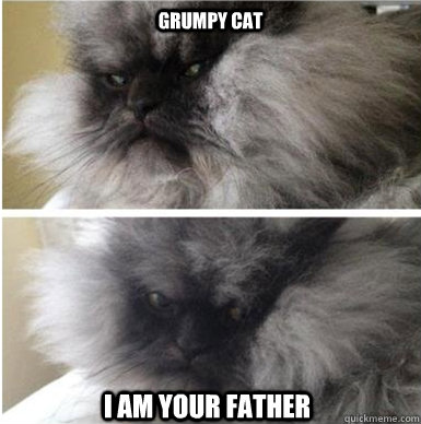 Grumpy Cat I am your father - Grumpy Cat I am your father  Colonel Meow