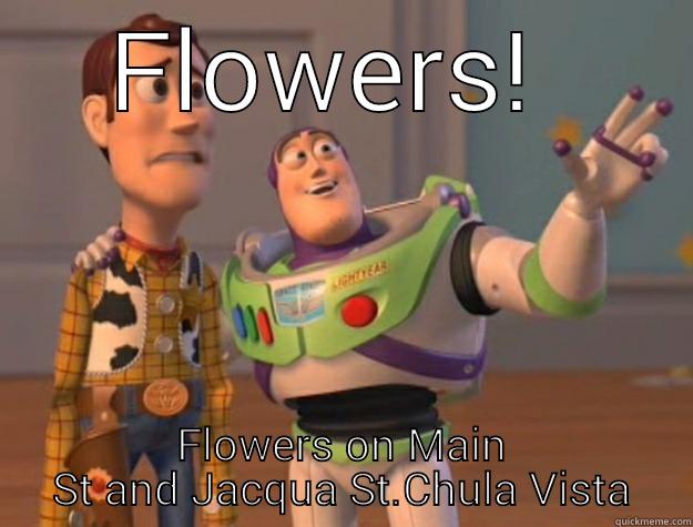 FLOWERS!  FLOWERS ON MAIN ST AND JACQUA ST.CHULA VISTA Toy Story