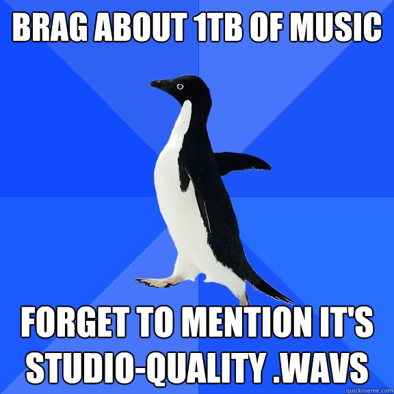 Brag about 1TB of music Forget to mention it's studio-quality .WAVs  Socially Awkward Penguin