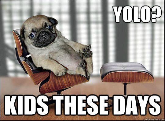 yolo? kids these days  ageing opinionated pug