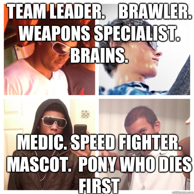 Team Leader.    Brawler.     Weapons Specialist.    Brains.           Medic. Speed Fighter. Mascot.  Pony who Dies First                           
