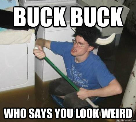 buck buck who says you look weird  They said