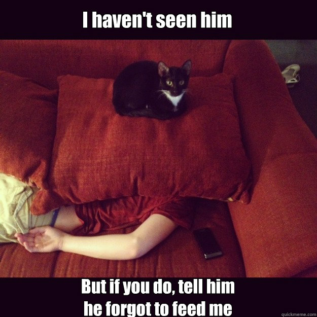I haven't seen him But if you do, tell him he forgot to feed me  jealous cat