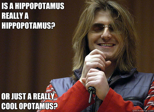 is a hippopotamus really a hippopotamus? or just a really cool opotamus? - is a hippopotamus really a hippopotamus? or just a really cool opotamus?  Mitch Hedberg